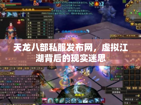 天龙八部私服发布网，虚拟江湖背后的现实迷思