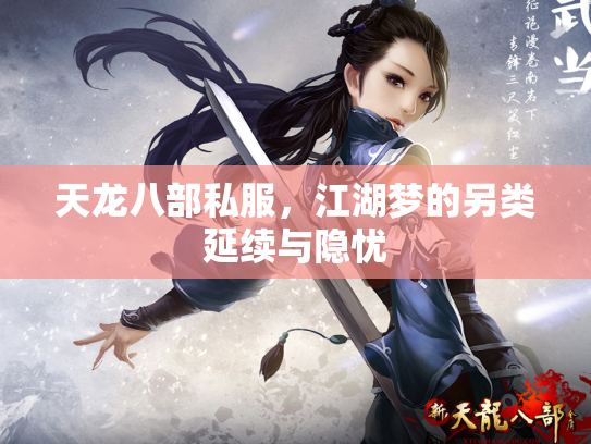 天龙八部私服，江湖梦的另类延续与隐忧