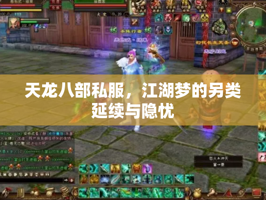 天龙八部私服，江湖梦的另类延续与隐忧