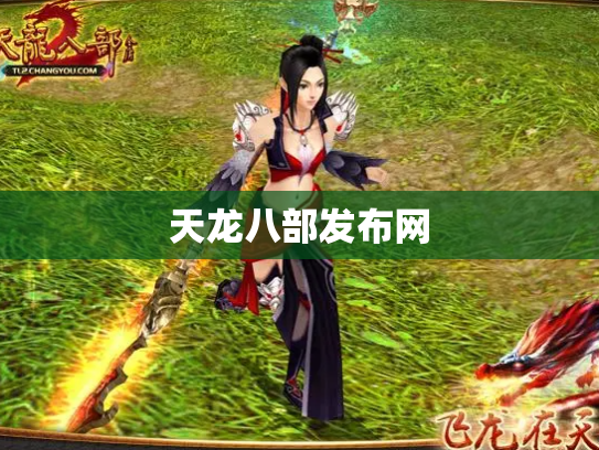天龙八部发布网