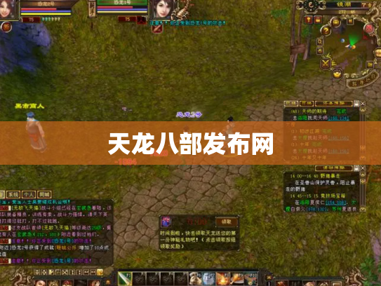 天龙八部发布网