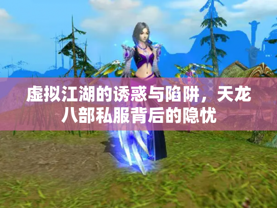 虚拟江湖的诱惑与陷阱，天龙八部私服背后的隐忧