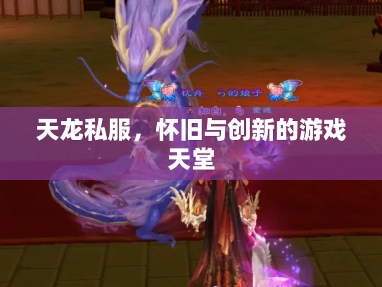 天龙私服，怀旧与创新的游戏天堂