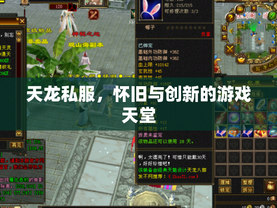 天龙私服，怀旧与创新的游戏天堂
