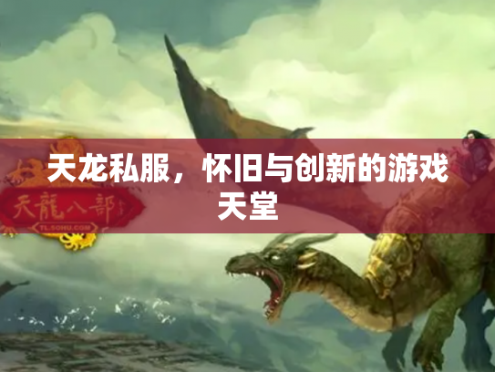 天龙私服，怀旧与创新的游戏天堂