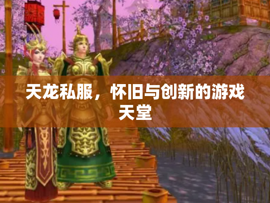天龙私服，怀旧与创新的游戏天堂