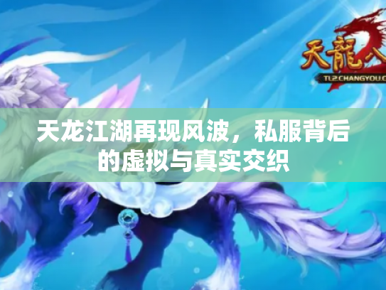 天龙江湖再现风波，私服背后的虚拟与真实交织