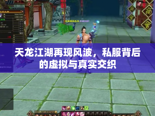 天龙江湖再现风波，私服背后的虚拟与真实交织