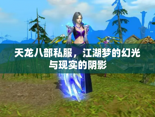 天龙八部私服，江湖梦的幻光与现实的阴影