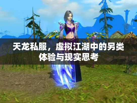 天龙私服，虚拟江湖中的另类体验与现实思考