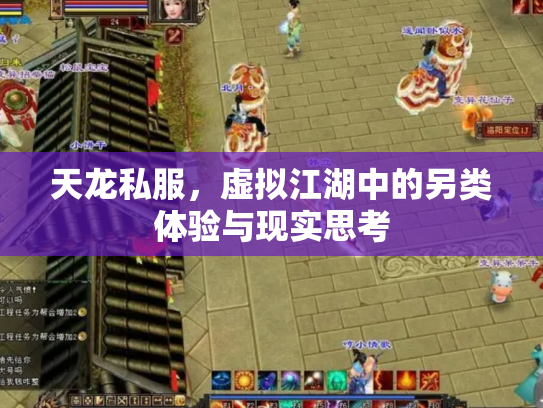 天龙私服，虚拟江湖中的另类体验与现实思考