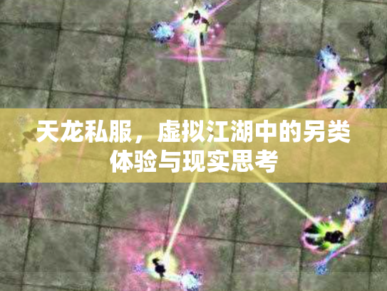 天龙私服，虚拟江湖中的另类体验与现实思考