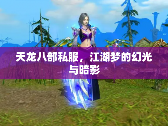 天龙八部私服，江湖梦的幻光与暗影