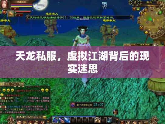 天龙私服，虚拟江湖背后的现实迷思