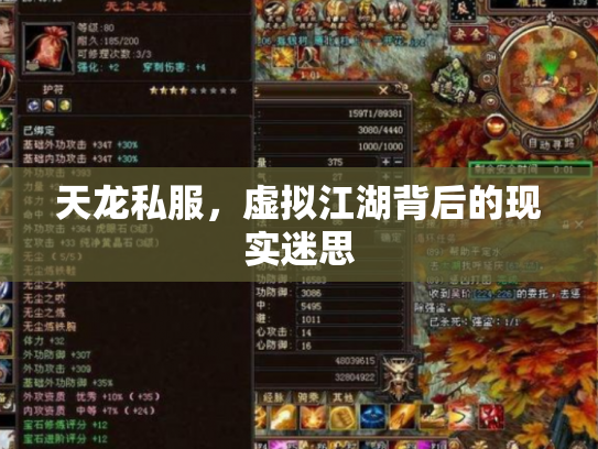 天龙私服，虚拟江湖背后的现实迷思