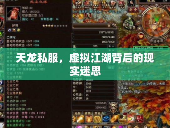 天龙私服，虚拟江湖背后的现实迷思