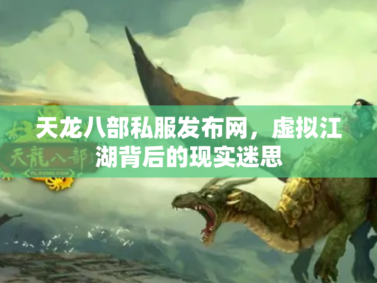天龙八部私服发布网，虚拟江湖背后的现实迷思