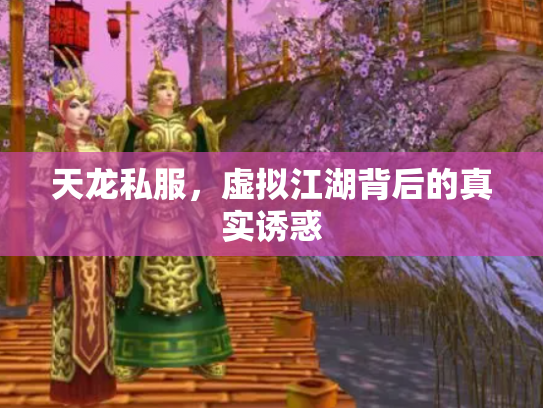 天龙私服，虚拟江湖背后的真实诱惑