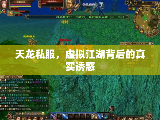 天龙私服，虚拟江湖背后的真实诱惑