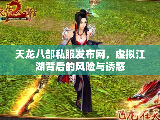 天龙八部私服发布网，虚拟江湖背后的风险与诱惑