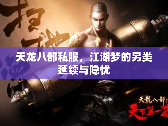 天龙八部私服，江湖梦的另类延续与隐忧