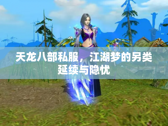 天龙八部私服，江湖梦的另类延续与隐忧