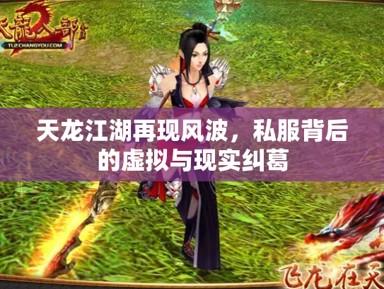 天龙江湖再现风波，私服背后的虚拟与现实纠葛