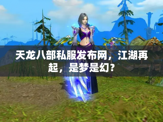 天龙八部私服发布网，江湖再起，是梦是幻？