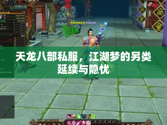 天龙八部私服，江湖梦的另类延续与隐忧