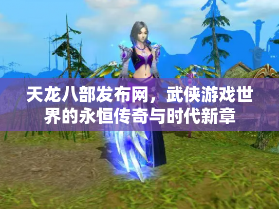 天龙八部发布网，武侠游戏世界的永恒传奇与时代新章