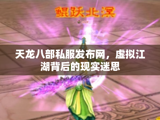 天龙八部私服发布网，虚拟江湖背后的现实迷思