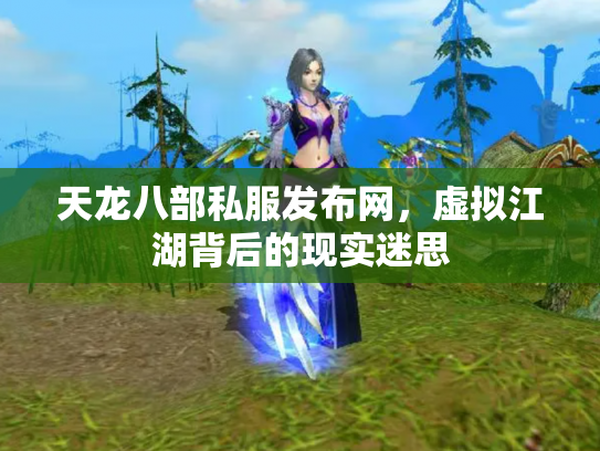 天龙八部私服发布网，虚拟江湖背后的现实迷思