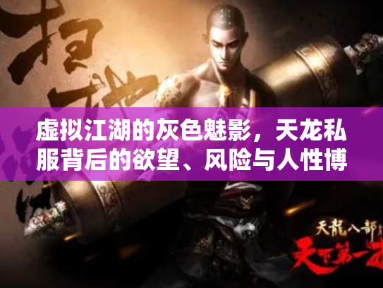 虚拟江湖的灰色魅影，天龙私服背后的欲望、风险与人性博弈