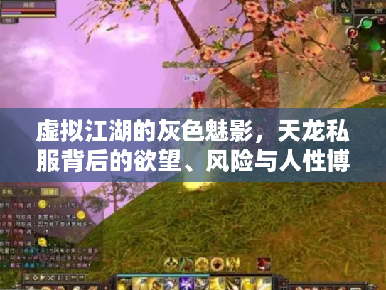 虚拟江湖的灰色魅影，天龙私服背后的欲望、风险与人性博弈