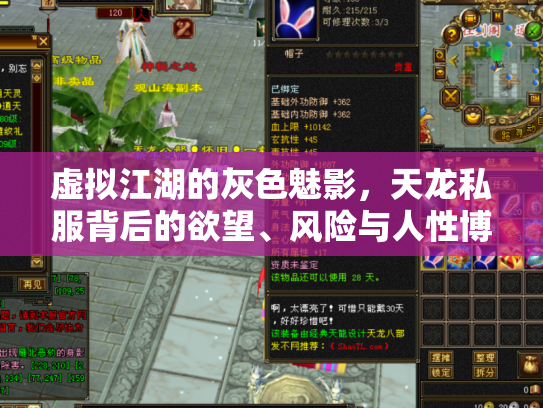 虚拟江湖的灰色魅影，天龙私服背后的欲望、风险与人性博弈