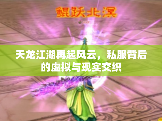 天龙江湖再起风云，私服背后的虚拟与现实交织
