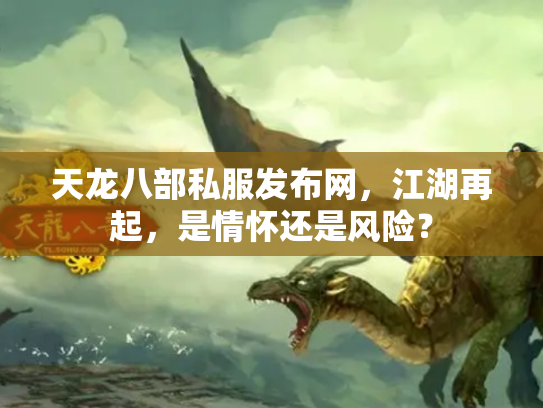 天龙八部私服发布网，江湖再起，是情怀还是风险？