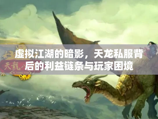虚拟江湖的暗影，天龙私服背后的利益链条与玩家困境