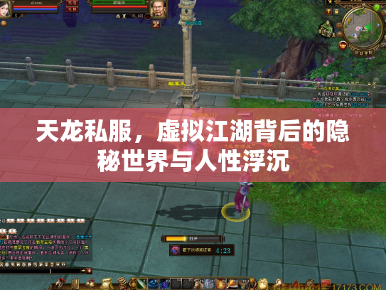 天龙私服，虚拟江湖背后的隐秘世界与人性浮沉