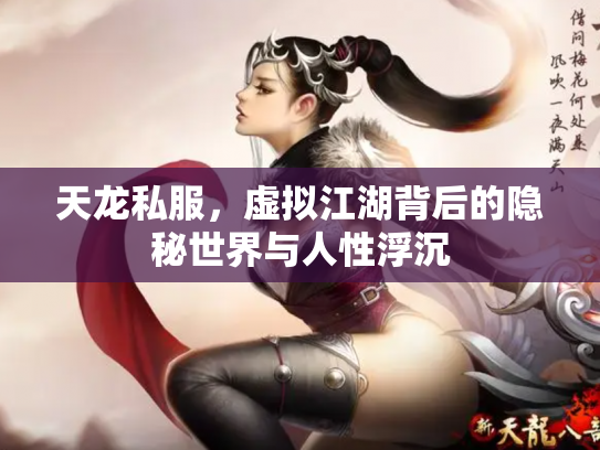 天龙私服，虚拟江湖背后的隐秘世界与人性浮沉