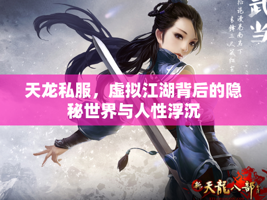 天龙私服，虚拟江湖背后的隐秘世界与人性浮沉