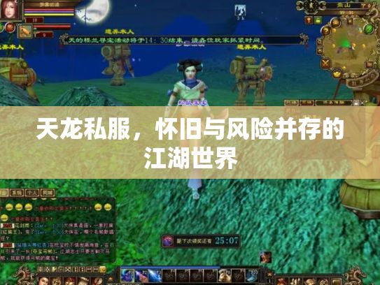 天龙私服，怀旧与风险并存的江湖世界