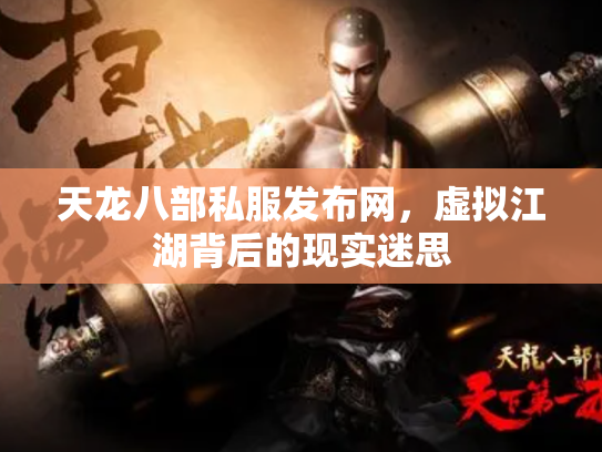 天龙八部私服发布网，虚拟江湖背后的现实迷思