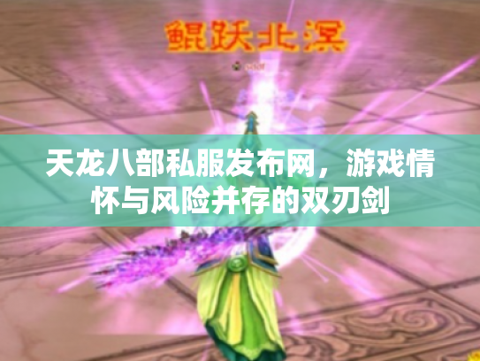 天龙八部私服发布网，游戏情怀与风险并存的双刃剑
