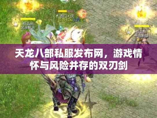 天龙八部私服发布网，游戏情怀与风险并存的双刃剑