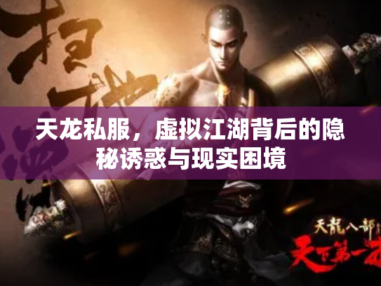 天龙私服，虚拟江湖背后的隐秘诱惑与现实困境