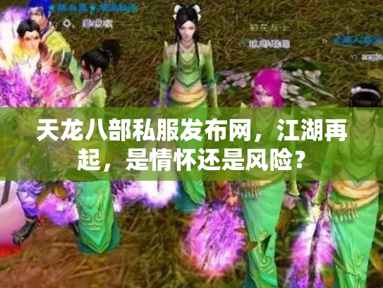 天龙八部私服发布网，江湖再起，是情怀还是风险？