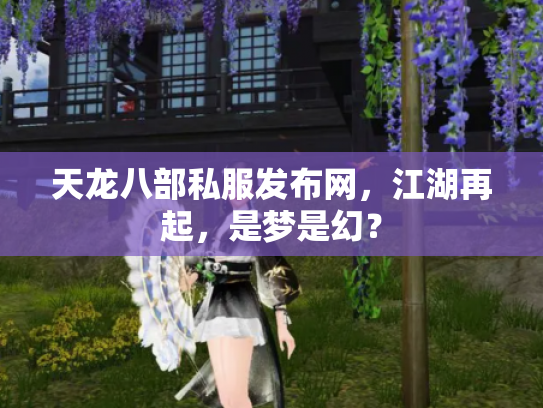 天龙八部私服发布网，江湖再起，是梦是幻？