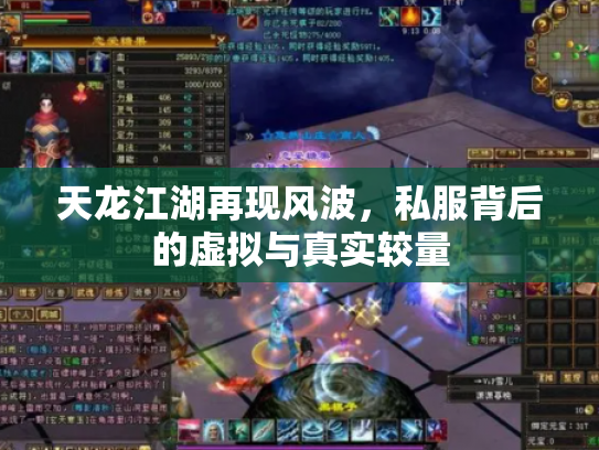 天龙江湖再现风波，私服背后的虚拟与真实较量