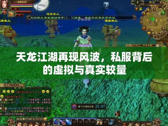 天龙江湖再现风波，私服背后的虚拟与真实较量